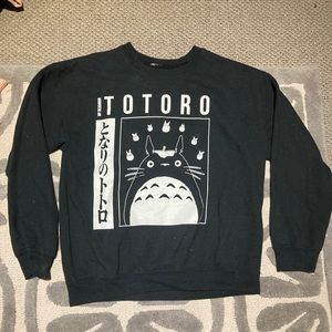 Totoro hoodie
